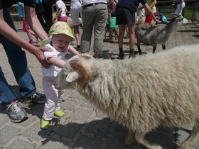 mini-P1020823 mini-P1020823