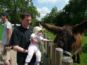 mini-P1020826 mini-P1020826