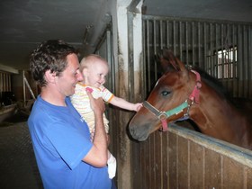 mini-P1020954 mini-P1020954